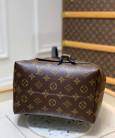 Рюкзак Louis Vuitton Montsouris PM M45515